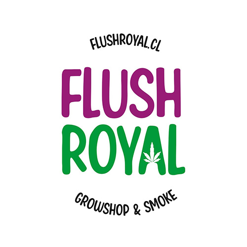 Flush Royal Growshop - OZeta