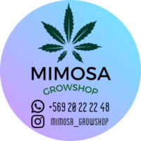 Mimosa-Growshop.png