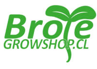Brote-Growshop.png