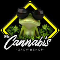 Mr-Cannabis.png