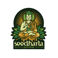 SeedHarta_Logo_Transparente (1).png