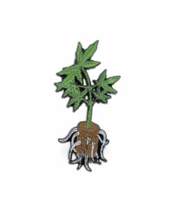 Pin Clones