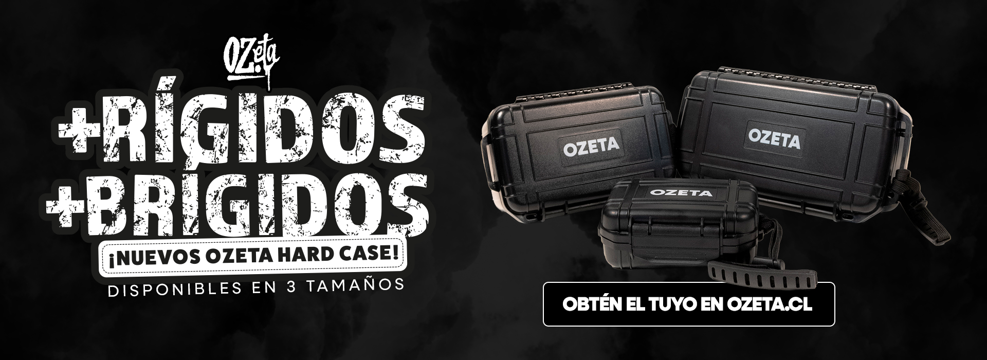 Brigido Hard Case Trio Banner Web